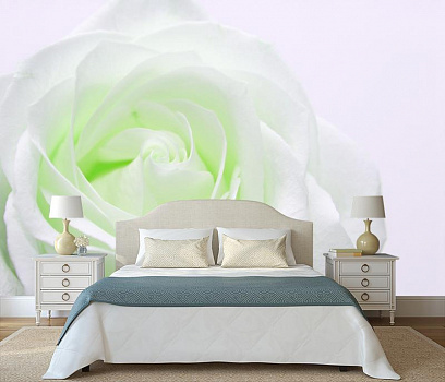 Светящаяся белая роза в интерьере спальни