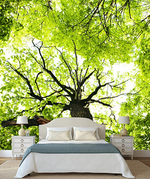 Прозрачная листва деревьев в интерьере спальни