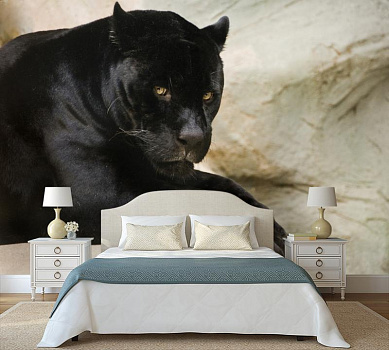 Черная пантера в интерьере спальни