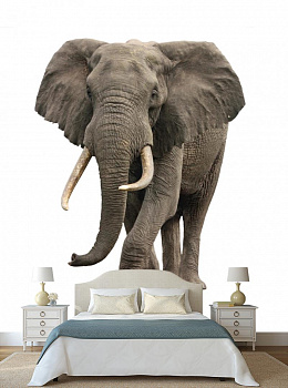 Слон в интерьере спальни