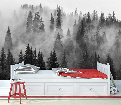 Туман в еловом лесу в интерьере детской комнаты мальчика