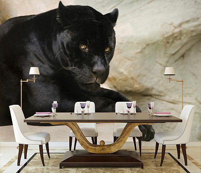 Черная пантера в интерьере кухни с большим столом