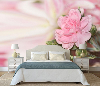 Нежный розовый цветок в интерьере спальни