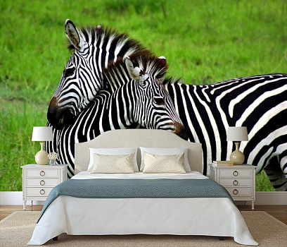 Зебра и зебренок в интерьере спальни