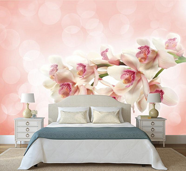 Белая орхидея в отблесках света в интерьере спальни