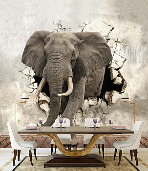 Слон в стене в интерьере кухни с большим столом