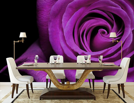 Фиалковая роза в интерьере кухни с большим столом