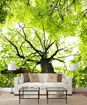 Прозрачная листва деревьев в интерьере гостиной с диваном