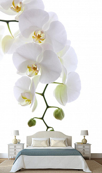 Ветка орхидеи в интерьере спальни