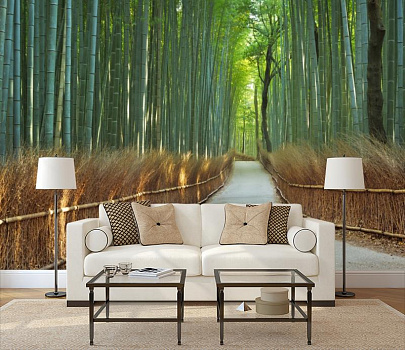 Дорога среди бамбука в интерьере гостиной с диваном