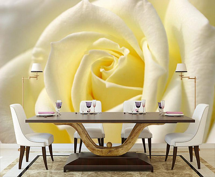 Роза в теплом сиянии в интерьере кухни с большим столом