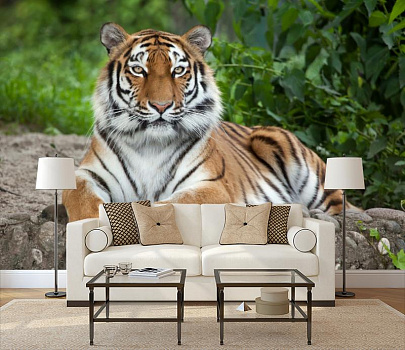 Тигр красавец в интерьере гостиной с диваном