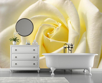 Роза в теплом сиянии в интерьере ванной