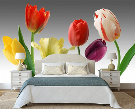 Разноцветные тюльпаны в интерьере спальни