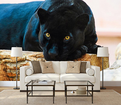 Взгляд пантеры в интерьере гостиной с диваном