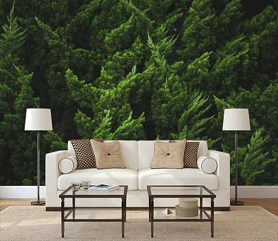 Зеленый лес в интерьере гостиной с диваном