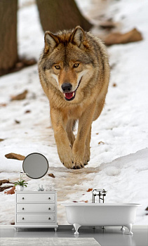 Волк в природе в интерьере ванной