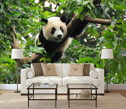 Улыбчивая панда в интерьере гостиной с диваном