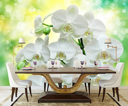 Букет из белых орхидей в интерьере кухни с большим столом
